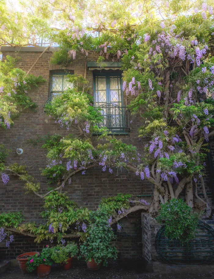 Most People Don't Know That London Is One Of The Greenest Cities In The World, And Here Are My 23 Photos To Prove It