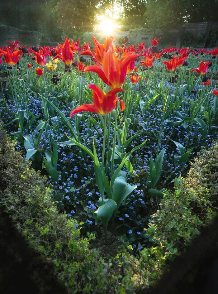 Most People Don't Know That London Is One Of The Greenest Cities In The World, And Here Are My 23 Photos To Prove It