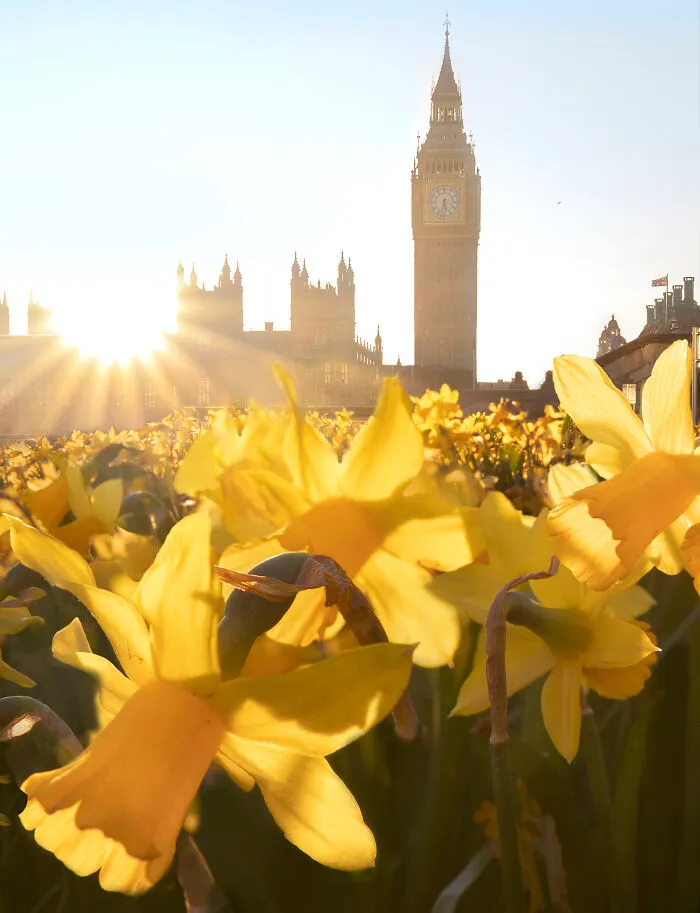 Most People Don't Know That London Is One Of The Greenest Cities In The World, And Here Are My 23 Photos To Prove It