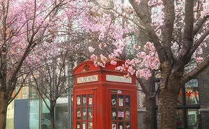 Most People Don't Know That London Is One Of The Greenest Cities In The World, And Here Are My 23 Photos To Prove It
