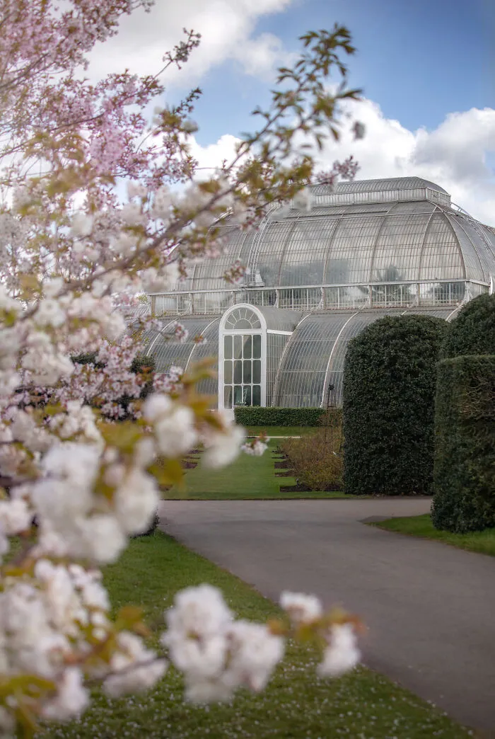 Most People Don't Know That London Is One Of The Greenest Cities In The World, And Here Are My 23 Photos To Prove It