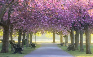 Most People Don't Know That London Is One Of The Greenest Cities In The World, And Here Are My 23 Photos To Prove It