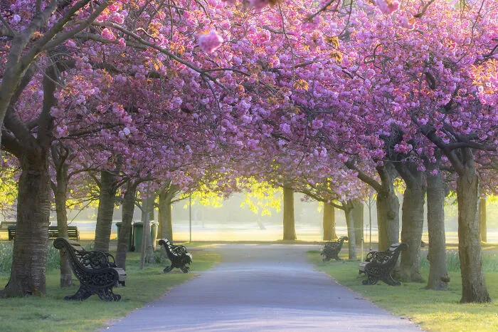 23 Reasons Why You Should Visit London During Spring