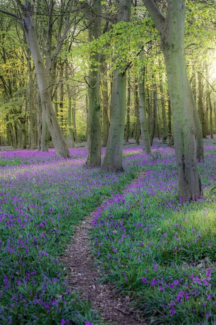 Most People Don't Know That London Is One Of The Greenest Cities In The World, And Here Are My 23 Photos To Prove It