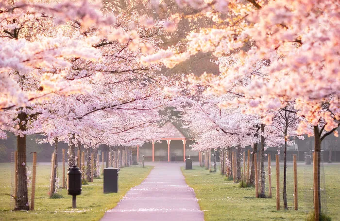Most People Don't Know That London Is One Of The Greenest Cities In The World, And Here Are My 23 Photos To Prove It