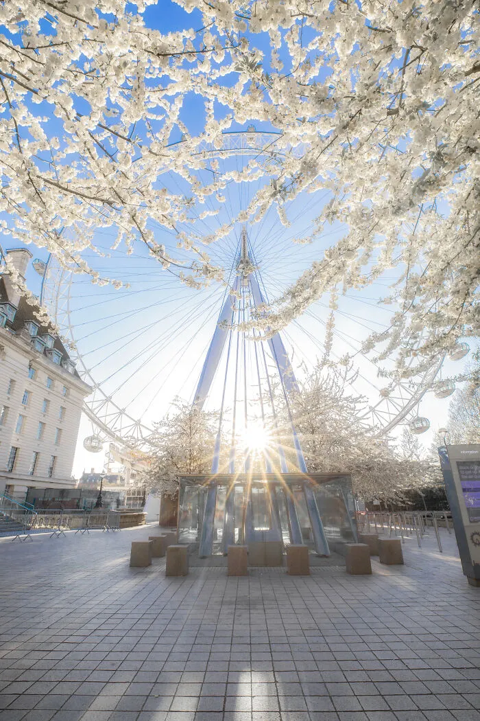 Most People Don't Know That London Is One Of The Greenest Cities In The World, And Here Are My 23 Photos To Prove It