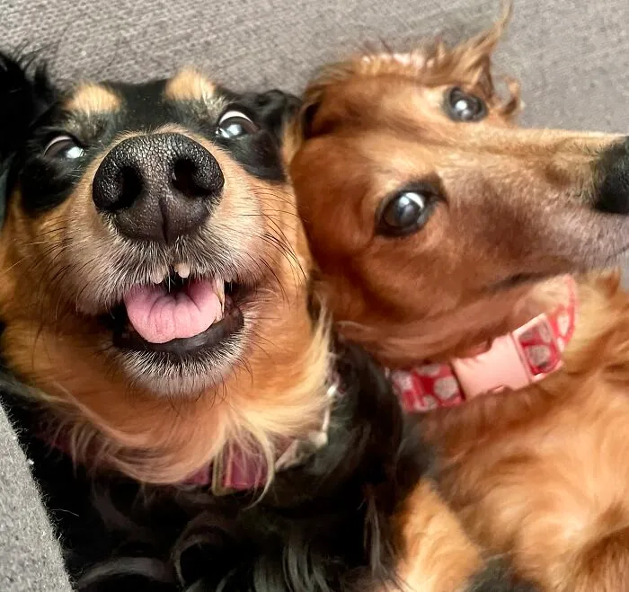 Too Hot So We’ll Just Enjoy The Weather Inside!