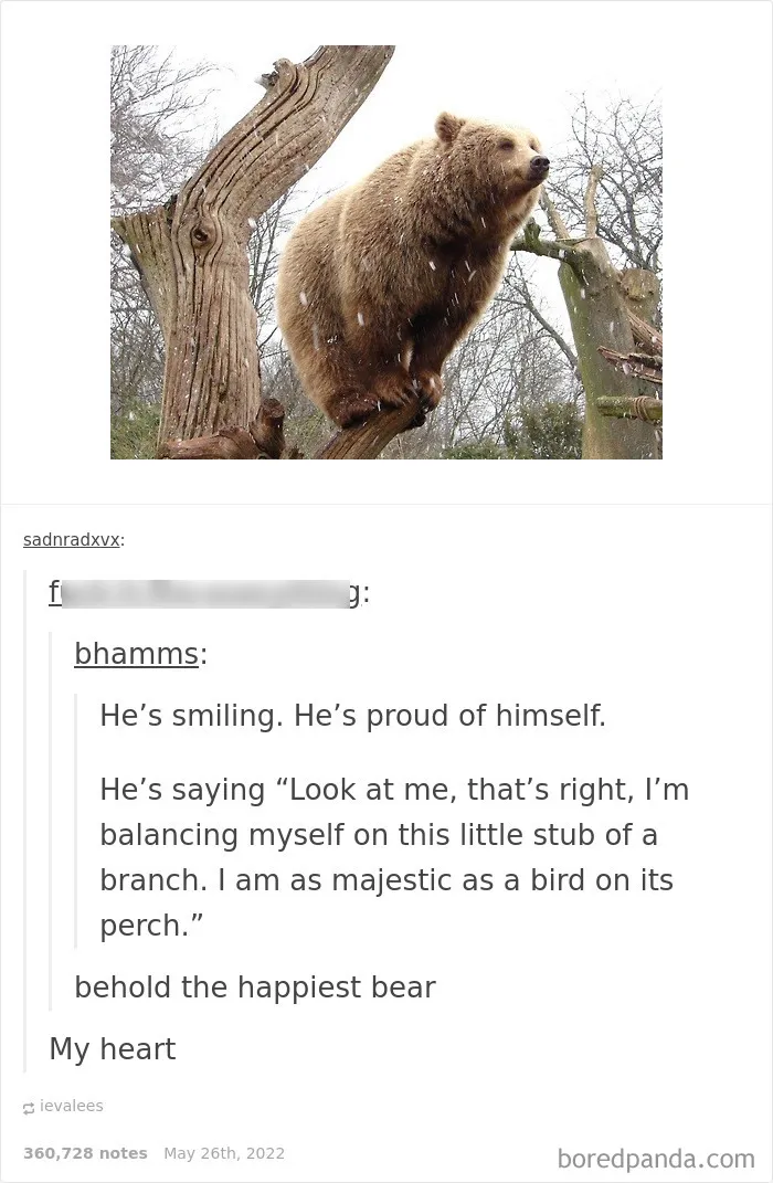 50 Times "The Weird Side Of Tumblr" Didn't Disappoint