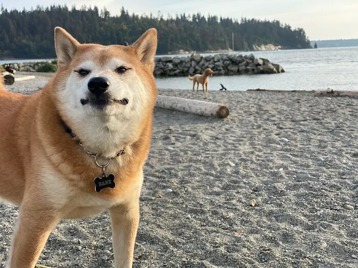 Cheeeeeese