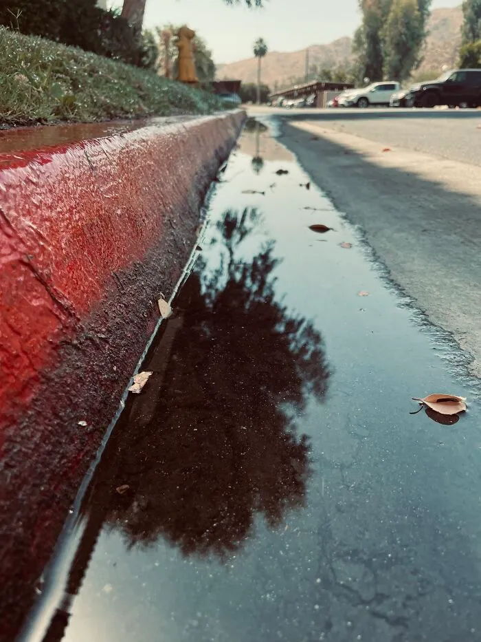 New Pictures That I Took (33 Pics)