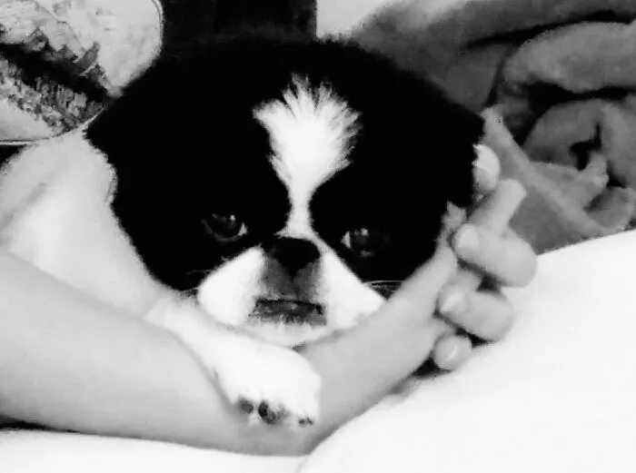 Lucy