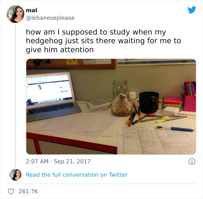 2.1M People Follow This Facebook Page For Its Feel-Good Content And Here Are 40 Of Its Best Posts