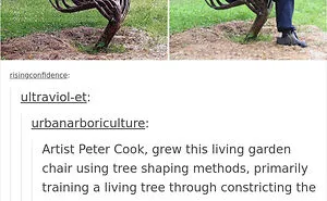 50 Times "The Weird Side Of Tumblr" Didn't Disappoint