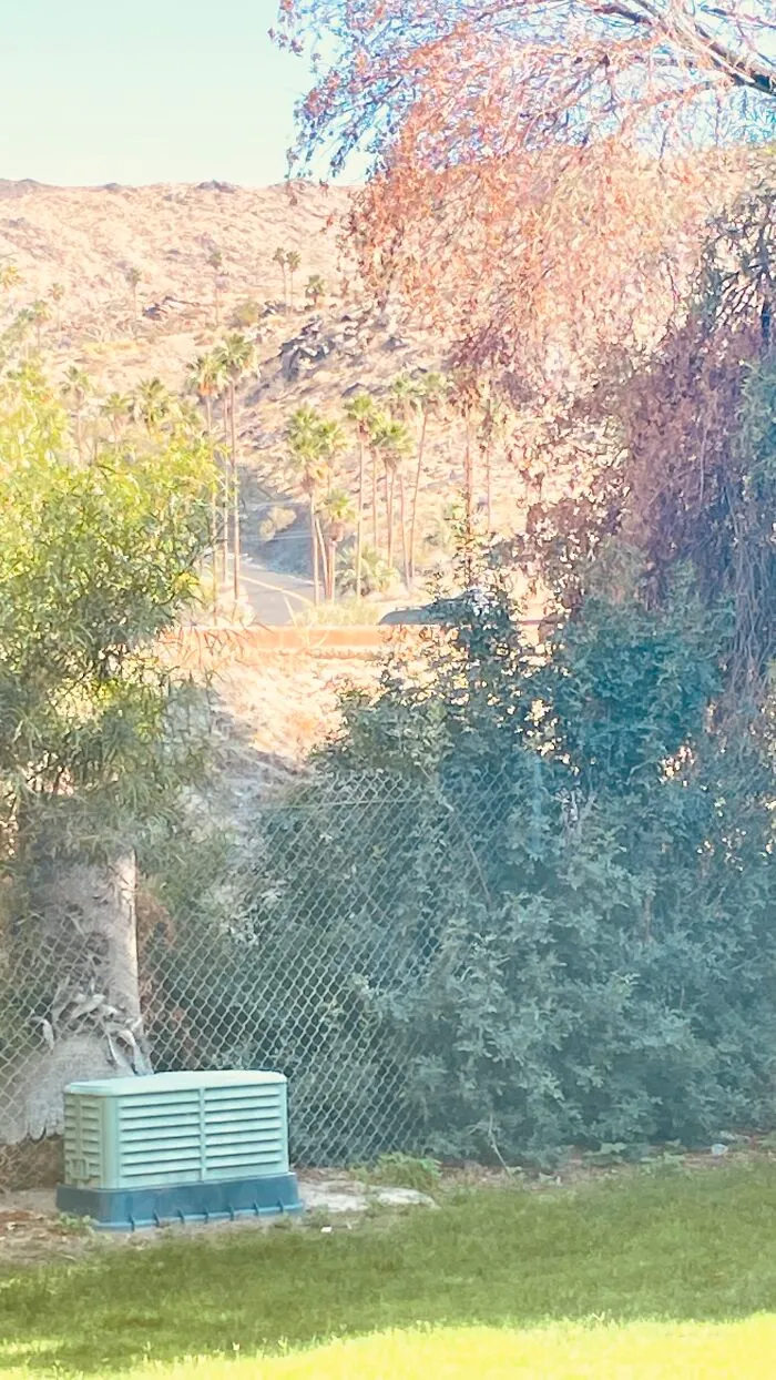 New Pictures That I Took (33 Pics)
