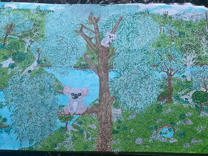 Koala’s!
