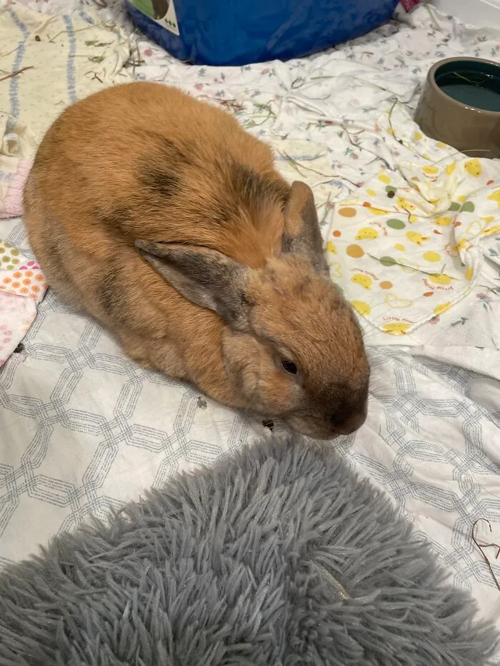 Excuse The Poop 