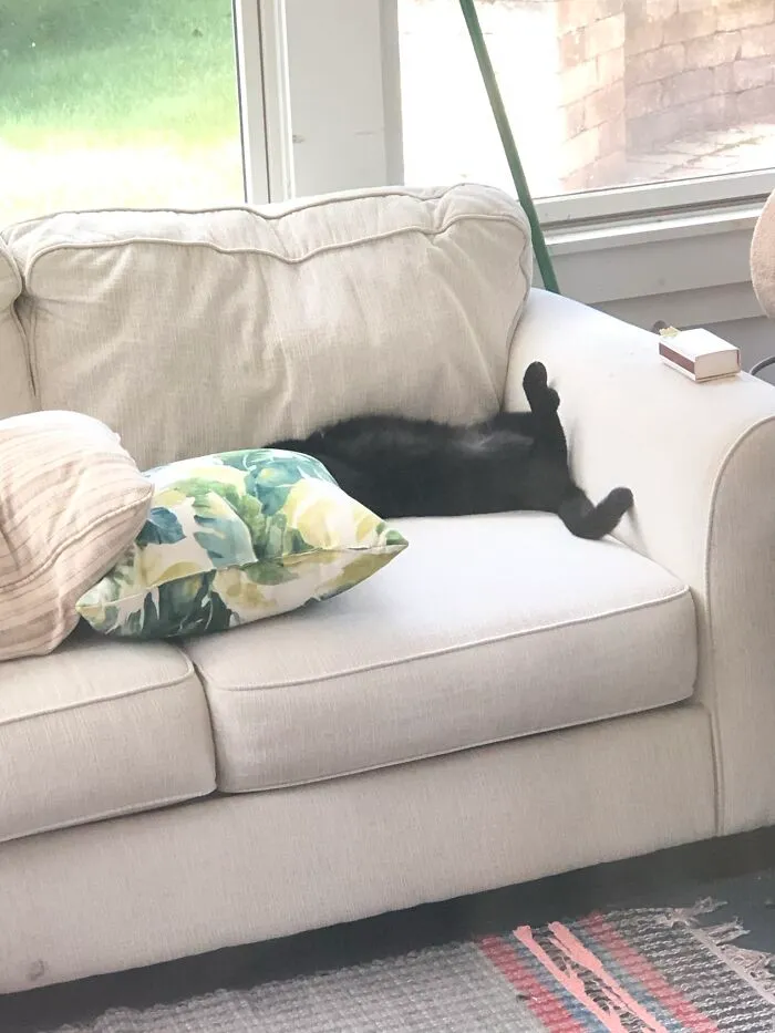 Legs In The Air Like She Just Don’t Care