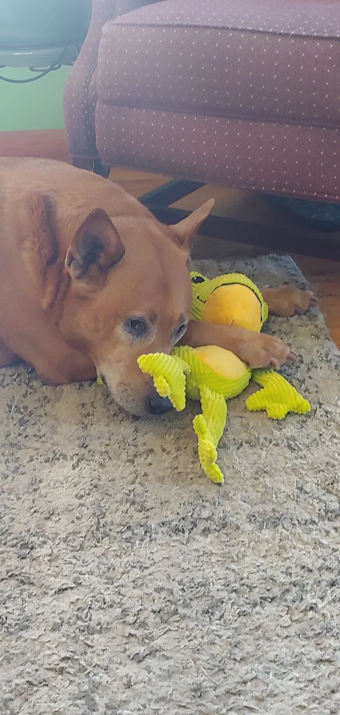 With His Bestie