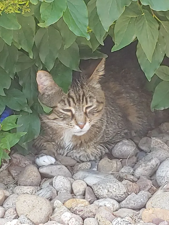 Hiding From The Sun