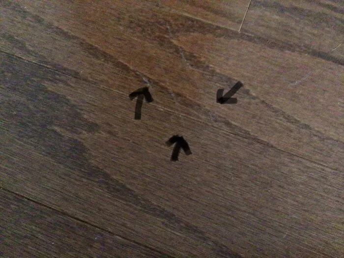 Every Time I Get Home This Happens
