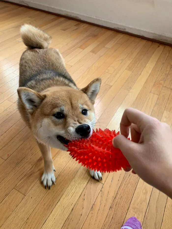 Never Said You Couldn't Post A Picture Of Your Pet