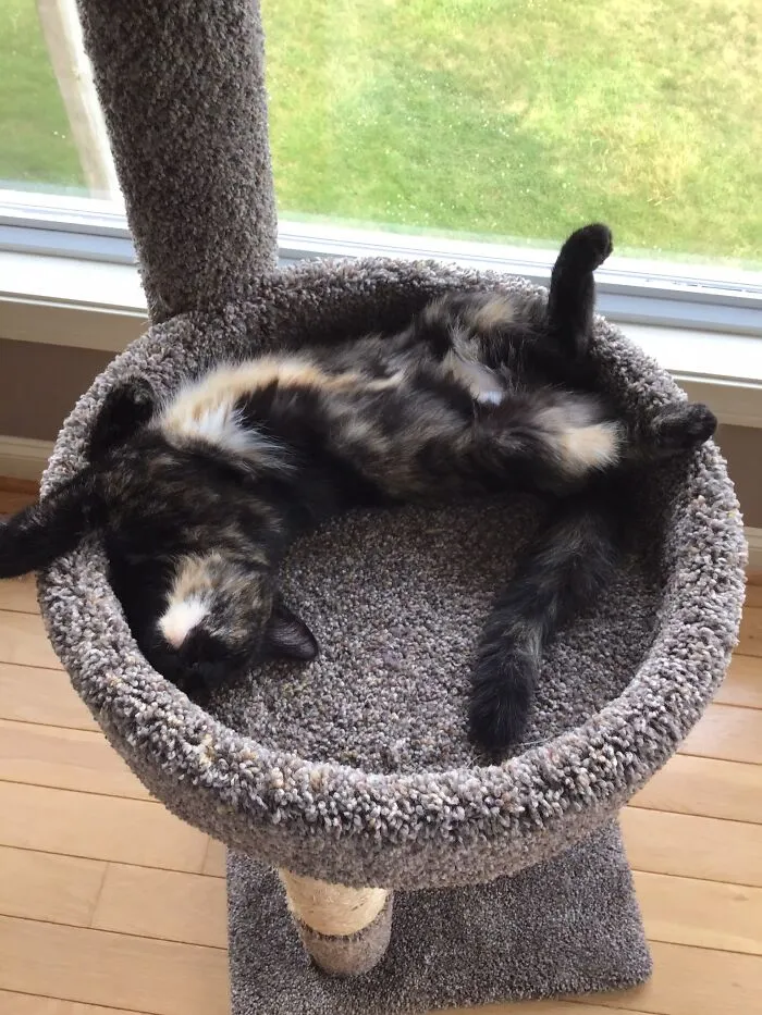 She Likes The Sun