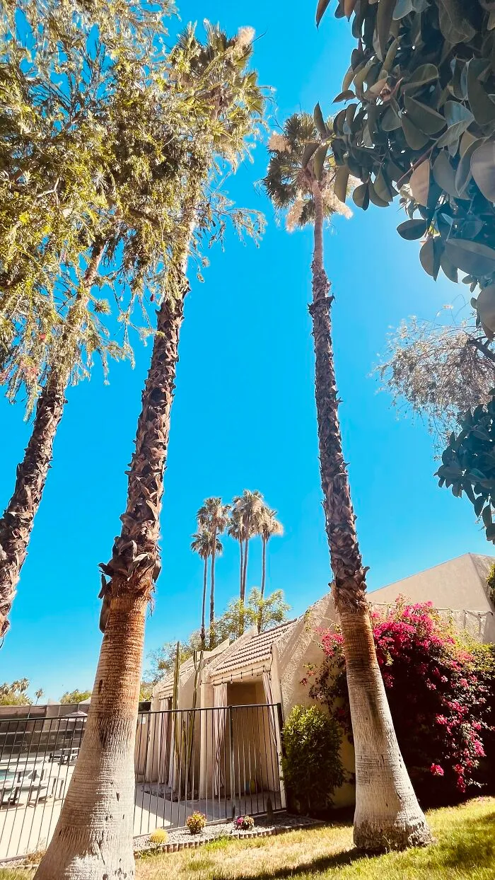 New Pictures That I Took (33 Pics)