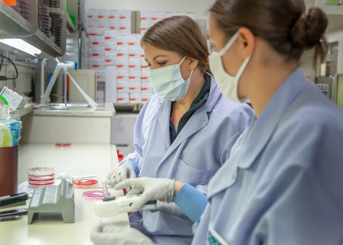 Paid Medical Studies (You're On The Receiving End Of The Experiments)