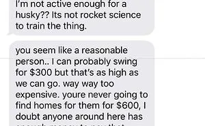 35 Delusional Pet Owners Who Have Lost Touch With Reality