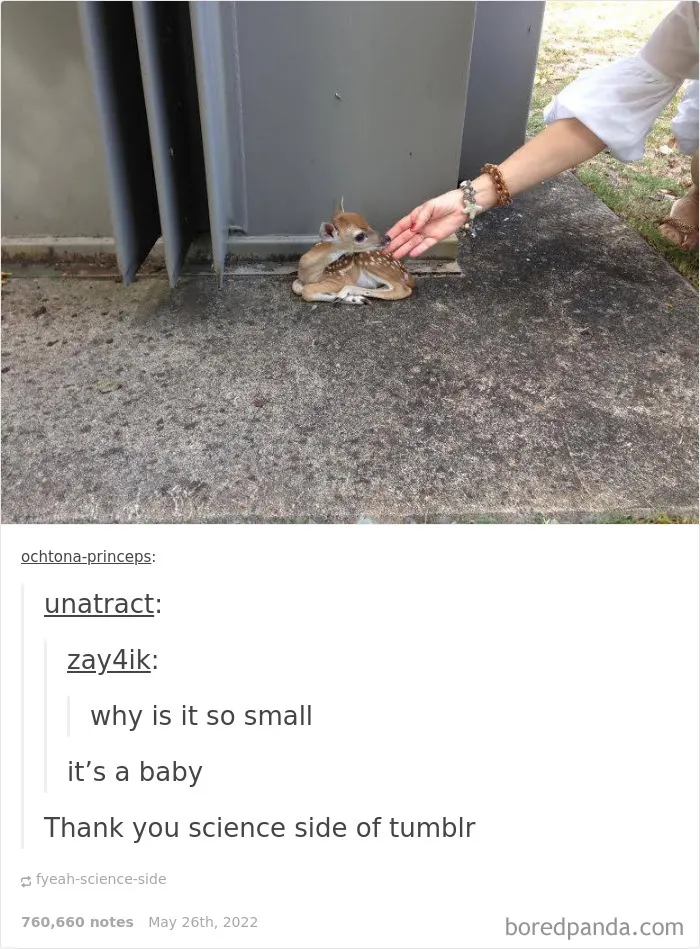 50 Times "The Weird Side Of Tumblr" Didn't Disappoint