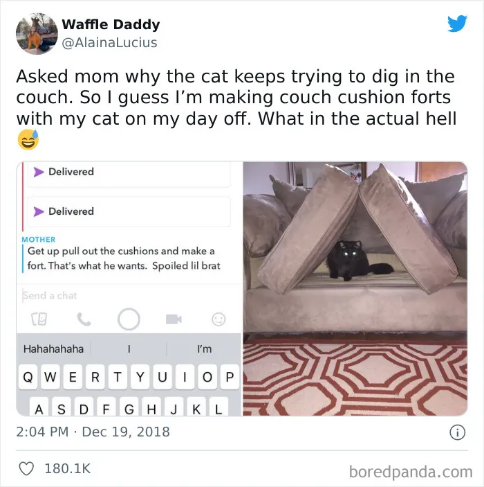 50 Hilariously Spot-On Tweets About Life With Cats And Dogs