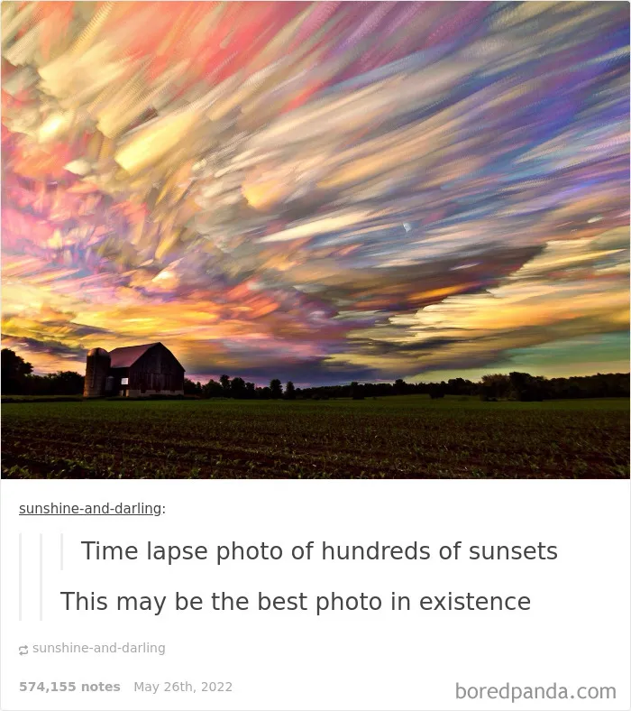 50 Times "The Weird Side Of Tumblr" Didn't Disappoint