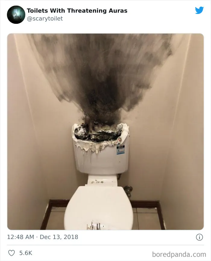 50 Of The Weirdest Lavatories From Around The World, As Shared By "Toilets With Threatening Auras"