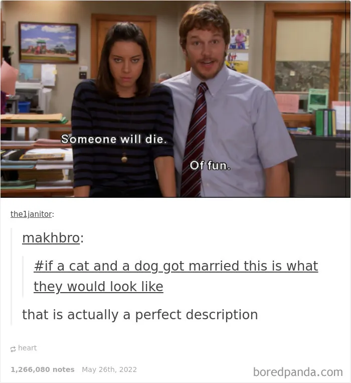 50 Times "The Weird Side Of Tumblr" Didn't Disappoint