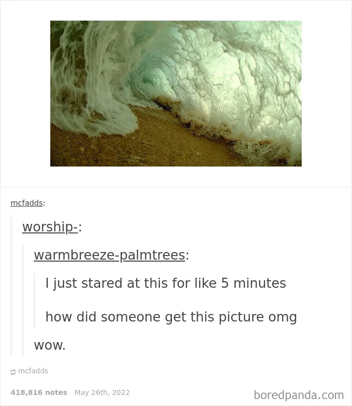 50 Times "The Weird Side Of Tumblr" Didn't Disappoint