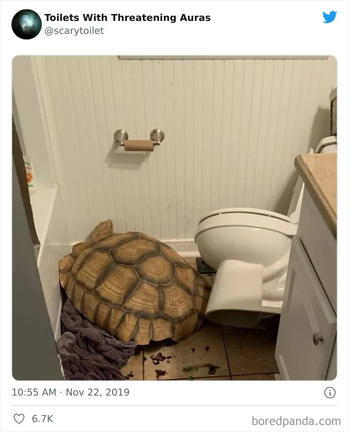 50 Of The Weirdest Lavatories From Around The World, As Shared By "Toilets With Threatening Auras"