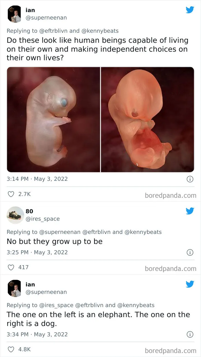 35 Reactions People Posted Online To The Impending US Supreme Court Decision To Overturn Abortion Rights