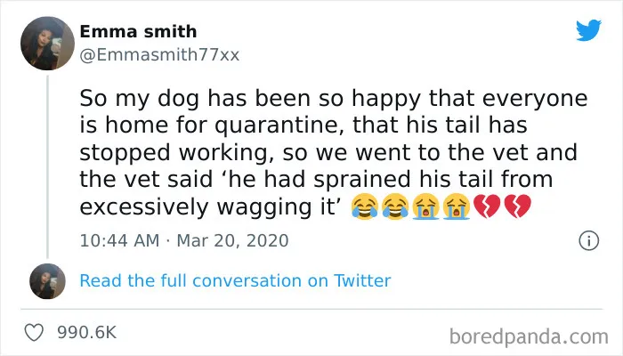 50 Hilariously Spot-On Tweets About Life With Cats And Dogs