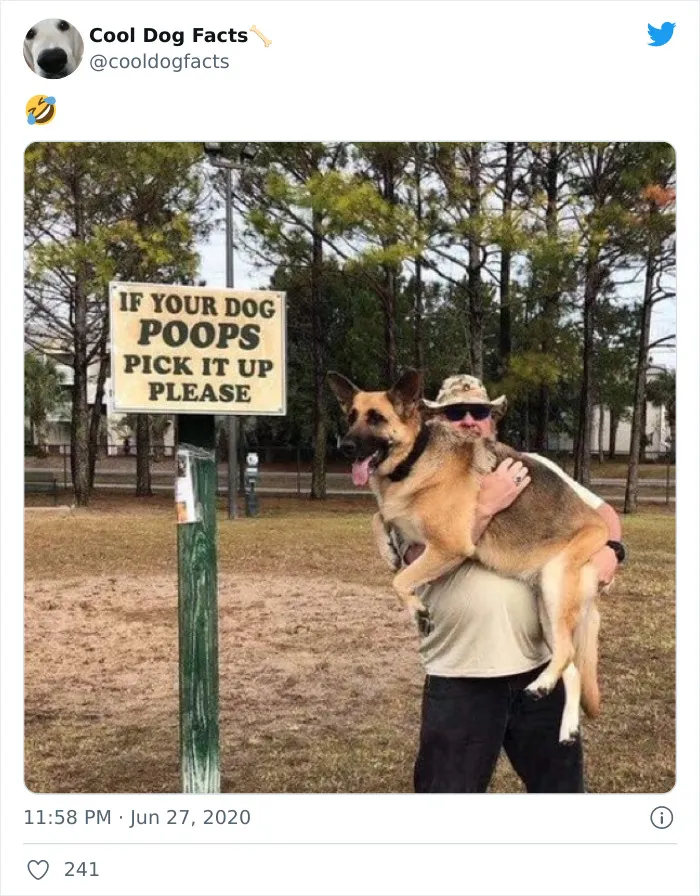 30 Tweets That Show Dogs Are Truly Man's Best Friends, Shared By This Twitter Account Dedicated To Cool Dog Facts