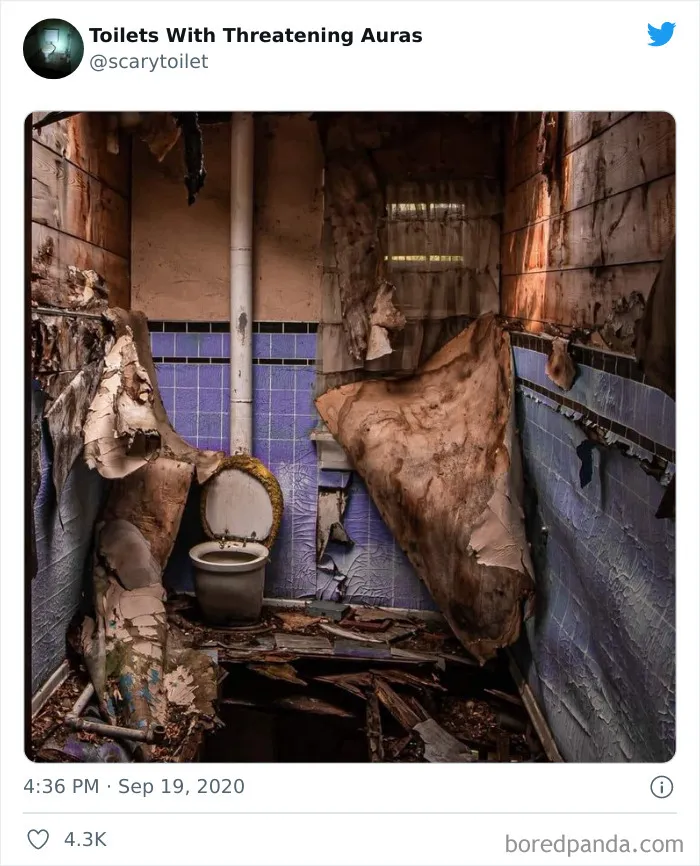 50 Of The Weirdest Lavatories From Around The World, As Shared By "Toilets With Threatening Auras"