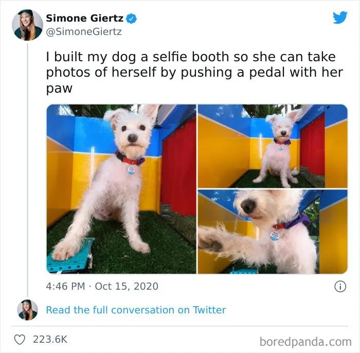 50 Hilariously Spot-On Tweets About Life With Cats And Dogs