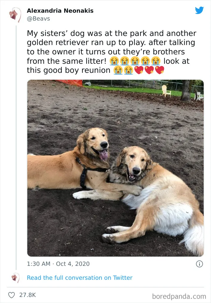 This Instagram Account Shares Uplifting News From Around The World So You Can See All The Good There Is (50 Posts)