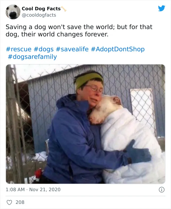 30 Tweets That Show Dogs Are Truly Man's Best Friends, Shared By This Twitter Account Dedicated To Cool Dog Facts