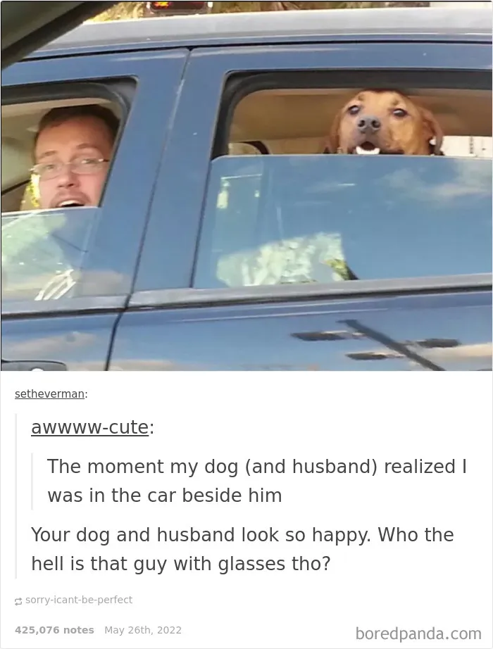 50 Times "The Weird Side Of Tumblr" Didn't Disappoint