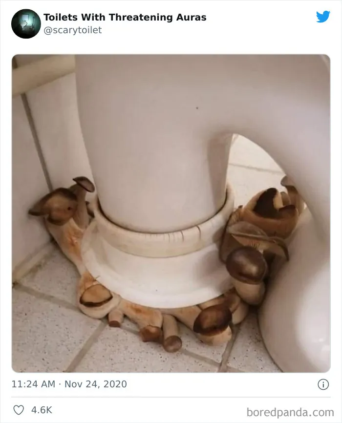 50 Of The Weirdest Lavatories From Around The World, As Shared By "Toilets With Threatening Auras"