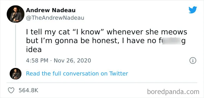 50 Hilariously Spot-On Tweets About Life With Cats And Dogs