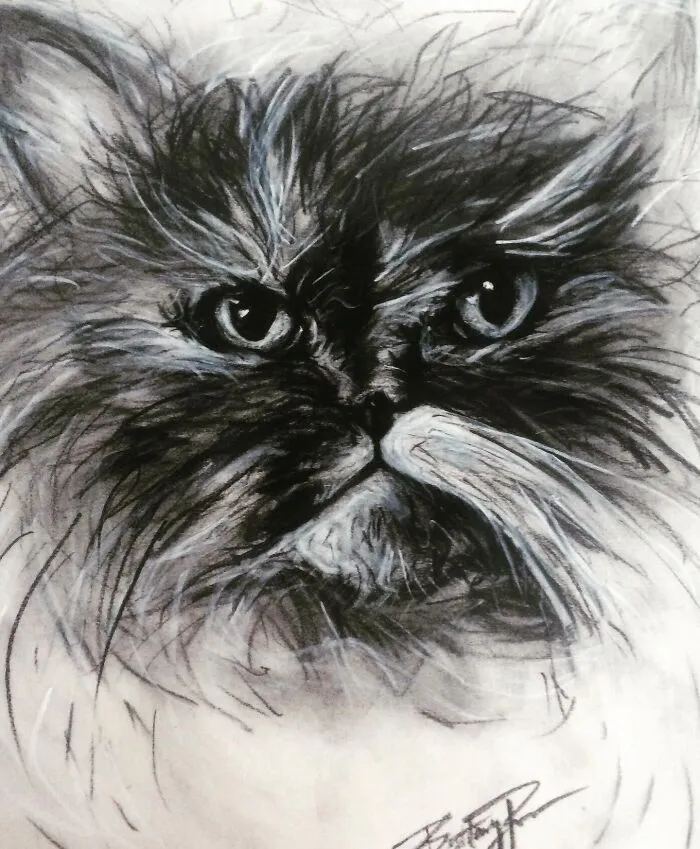 Mrs. Meow