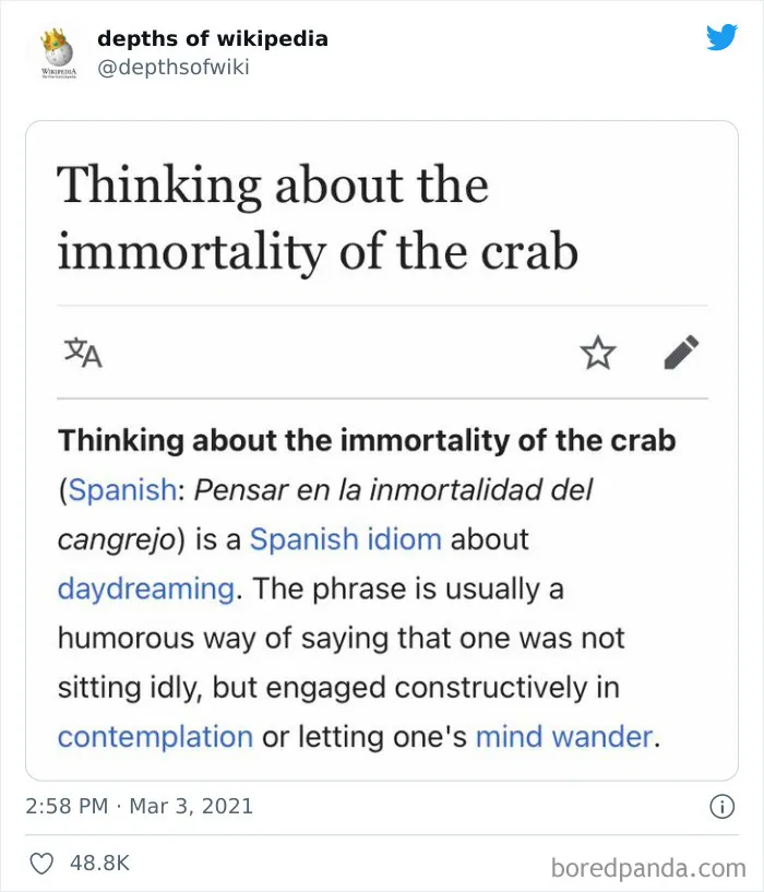40 Times People Stumbled Upon Something Hilarious On Wikipedia And It Ended Up Being Shared In This Online Group