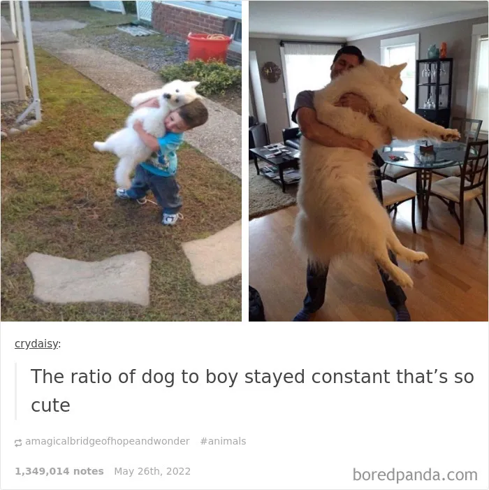 50 Times "The Weird Side Of Tumblr" Didn't Disappoint