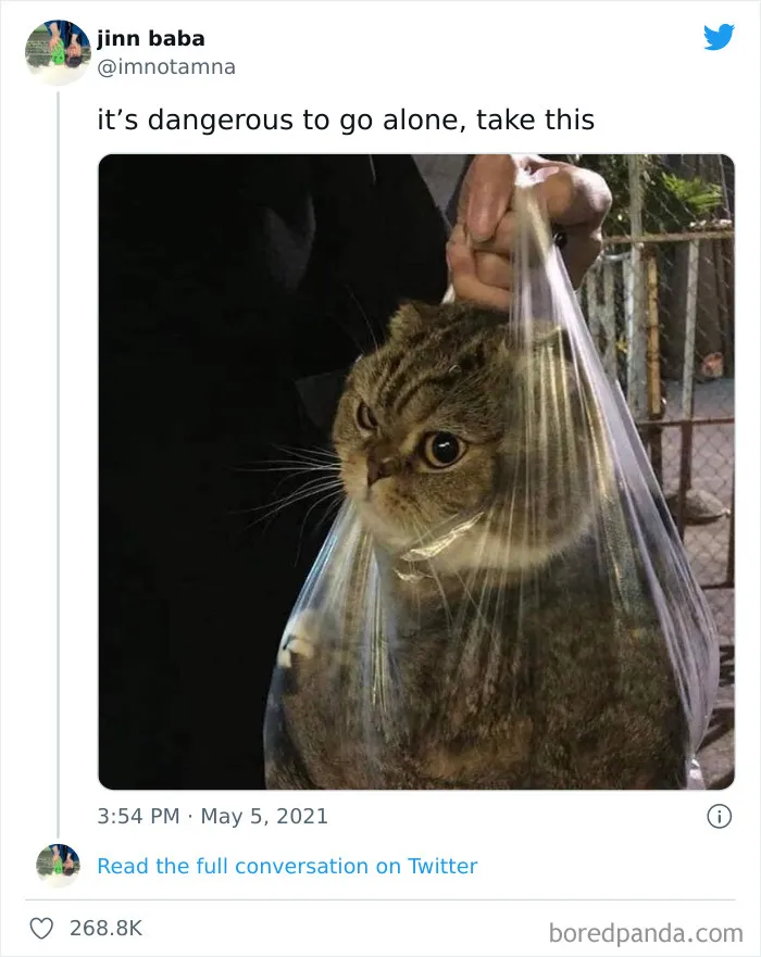 50 Hilariously Spot-On Tweets About Life With Cats And Dogs